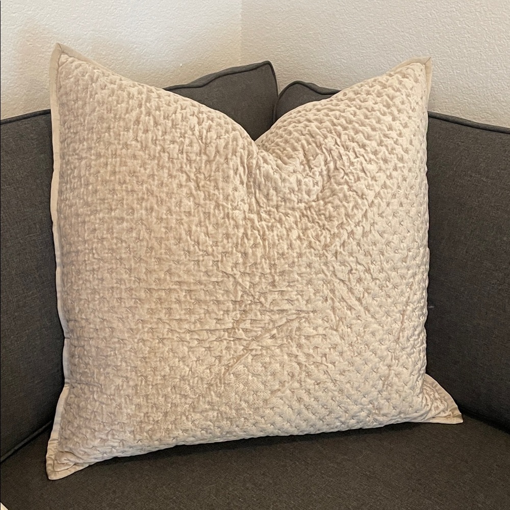 ARHAUS cushion cover 26x26” beige mink velvet excellent XXL rare designer pillow